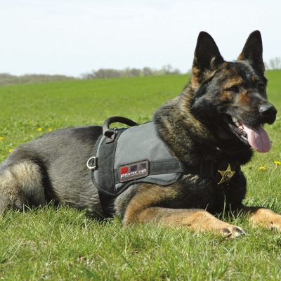 K-9 HİZMETLERİ